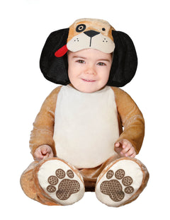 Animais Cão