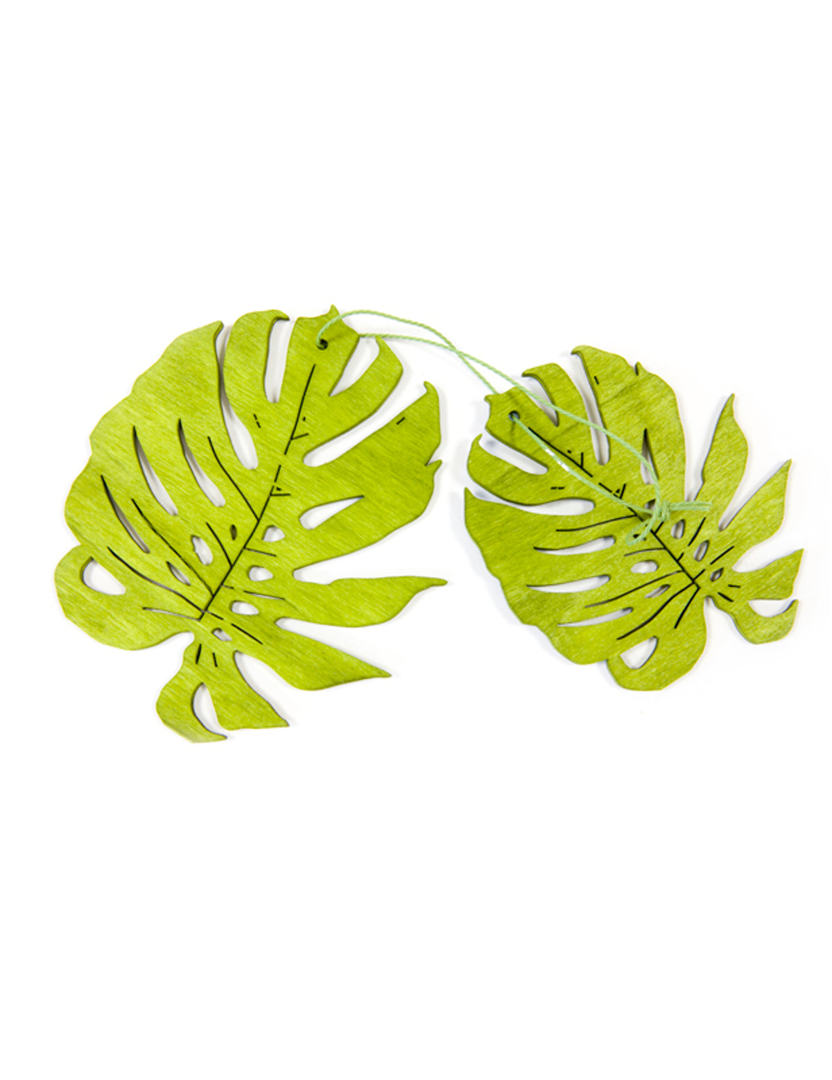 Feuilles tropicales en bois pour fête vertes