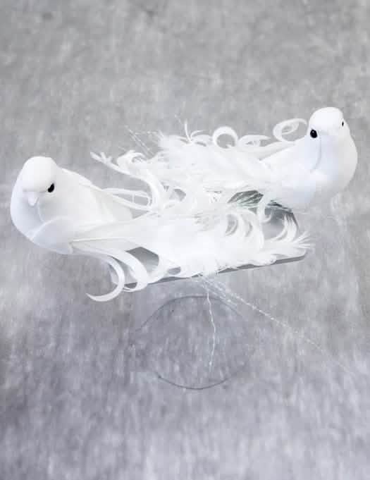 Pequenos pássaros decorativos brancos em penas