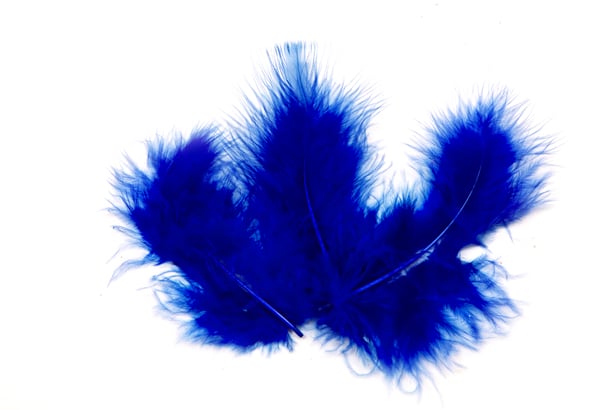 Plumes de décoration pour mariage bleu roi
