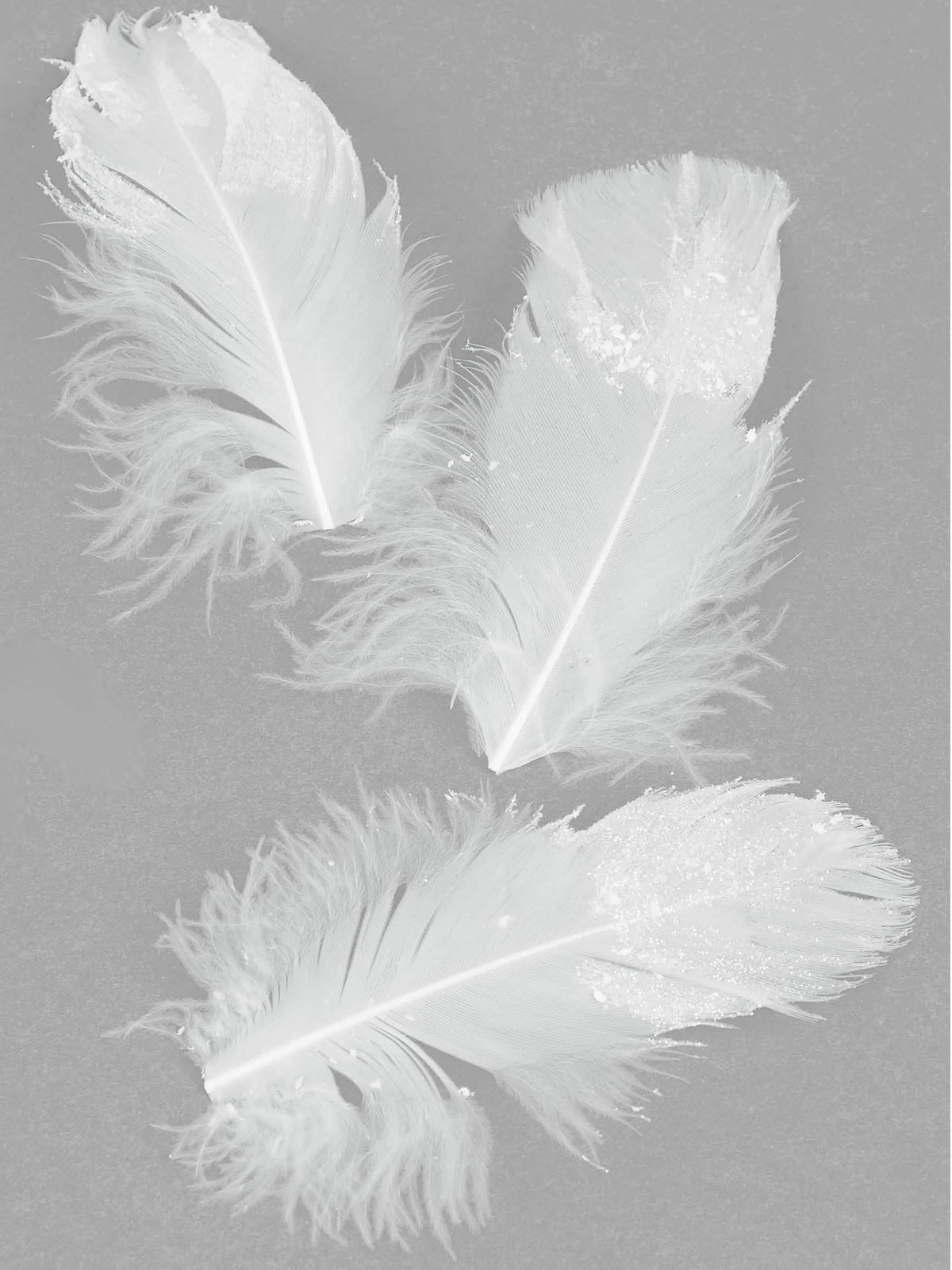 Plumas com brilho para decoração brancas cintilantes