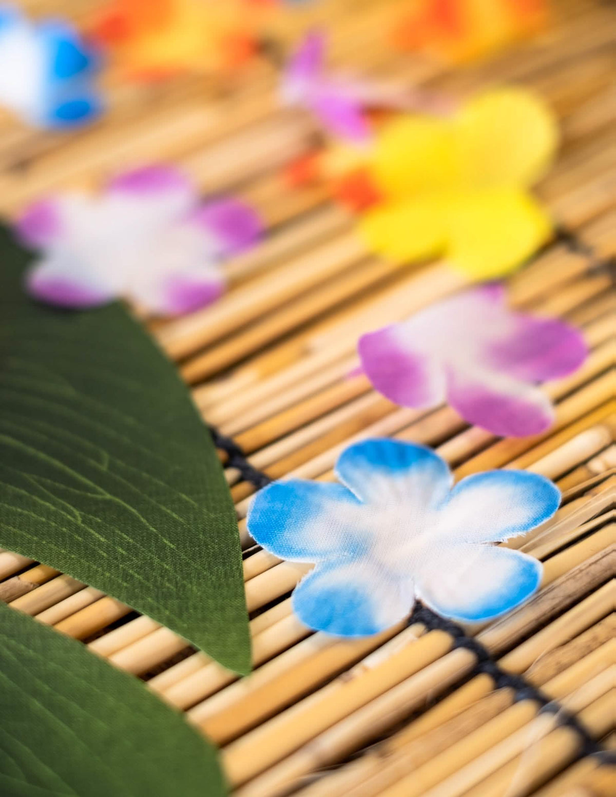 Grande plano das pétalas coloridas das flores decorativas havaí