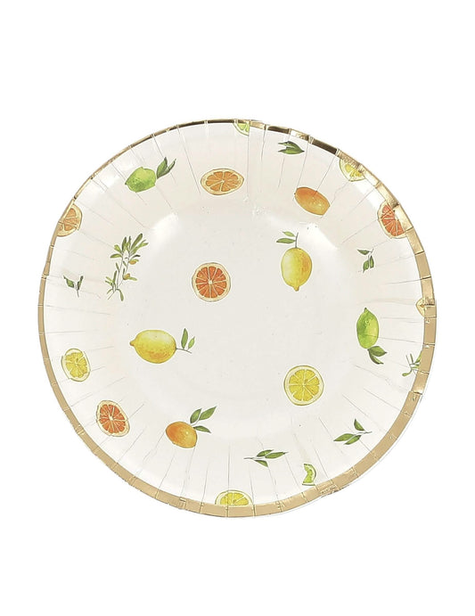 8 taças Fizz cítricas de cartão creme, laranja, amarelo e dourado 13,5cm decoração frutada