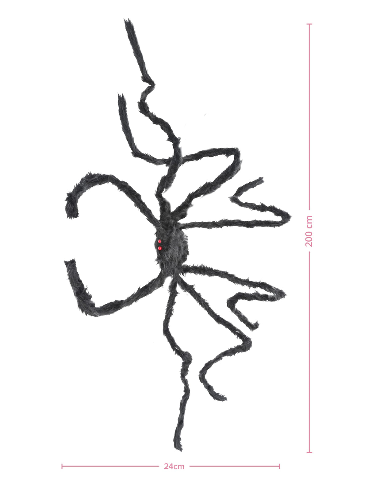 Dimensions de l'araignée géante pour Halloween