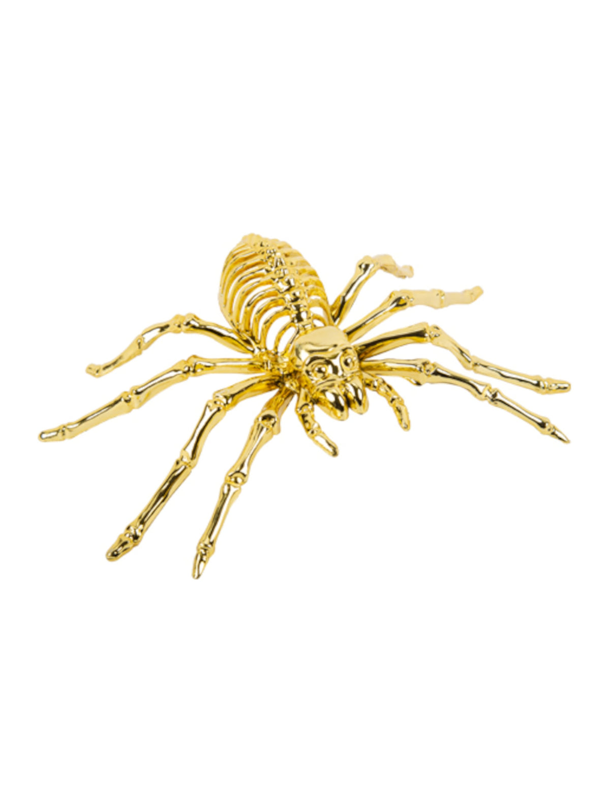 Araignée squelette pour Halloween dorée