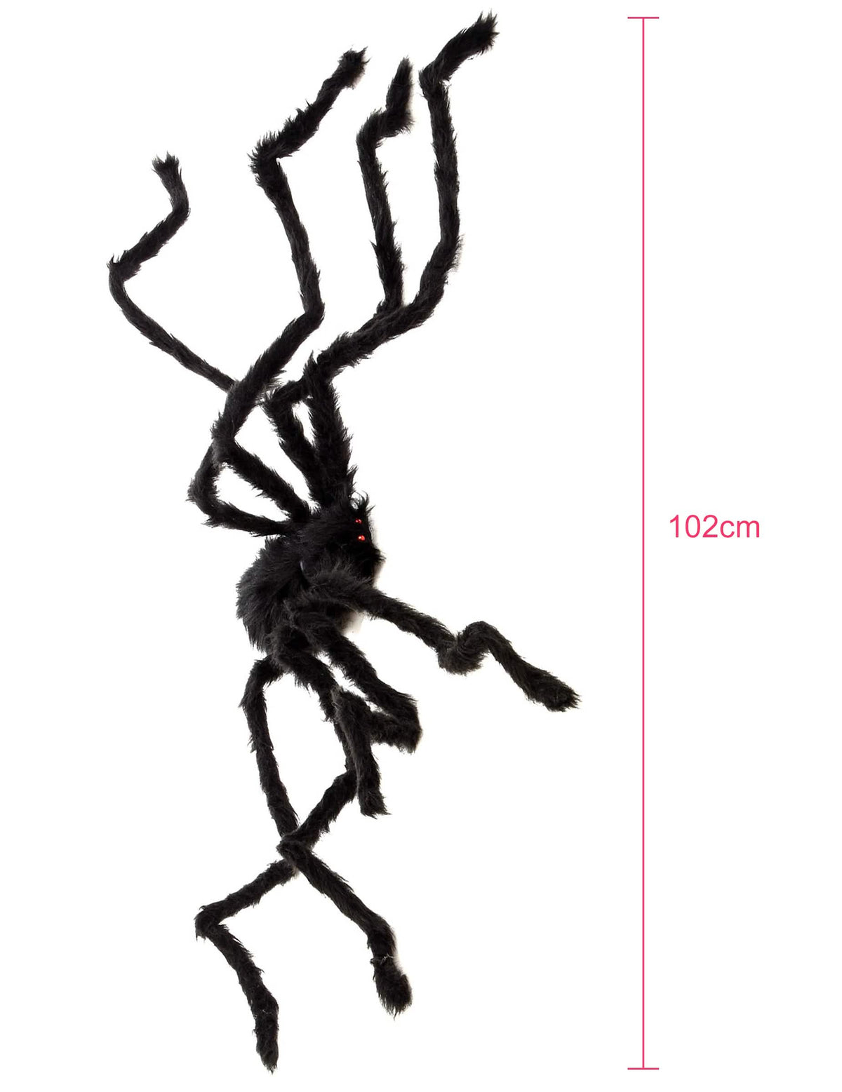 Aperçu des dimensions de l'araignée velue Halloween