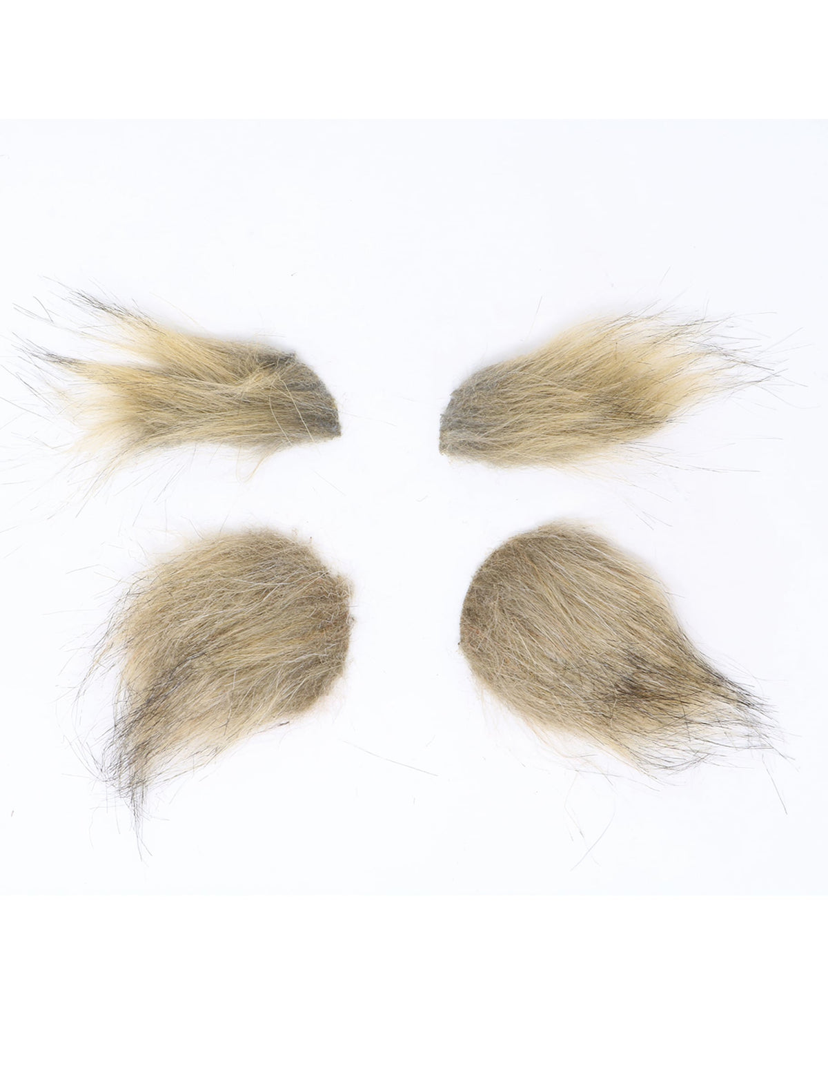 Détail des éléments de la barbe et des sourcils loup-garou