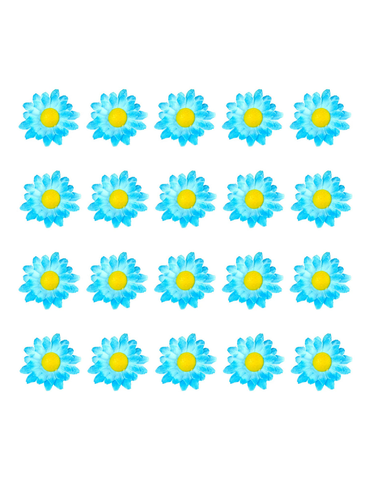 Vue d'ensemble des 20 unités des fleurs marguerites pour décoration