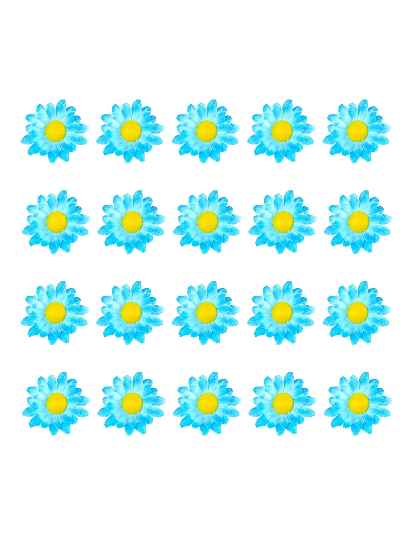 Vue d'ensemble des 20 unités des fleurs marguerites pour décoration