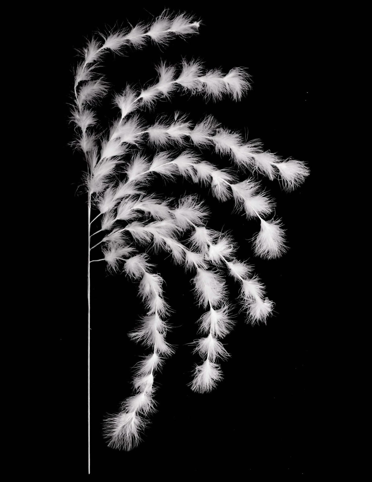 Ramificação de 7 hastes com plumas, ambiente boémio, para decoração, brancas