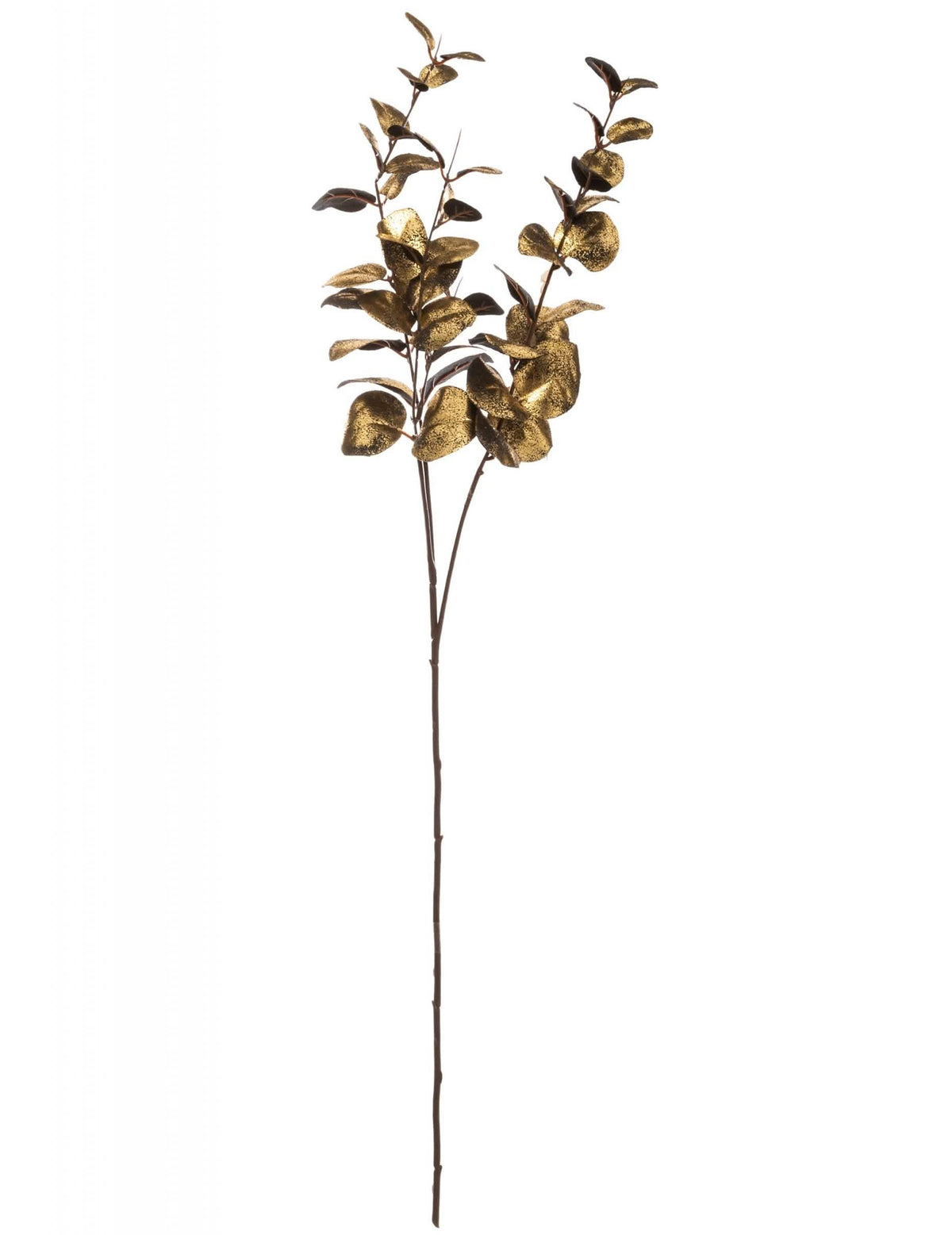 Ramo de eucalipto para decoração dourada