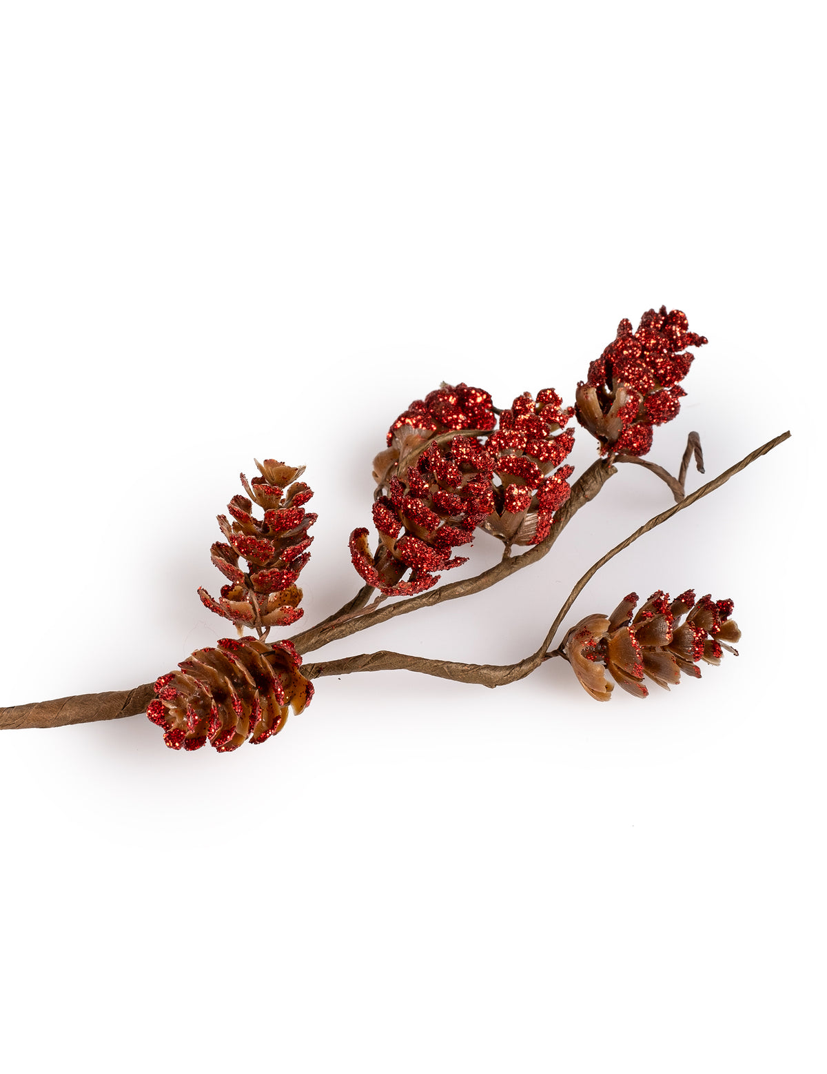 Vue de profil de la branche de pommes de pin pour Noël