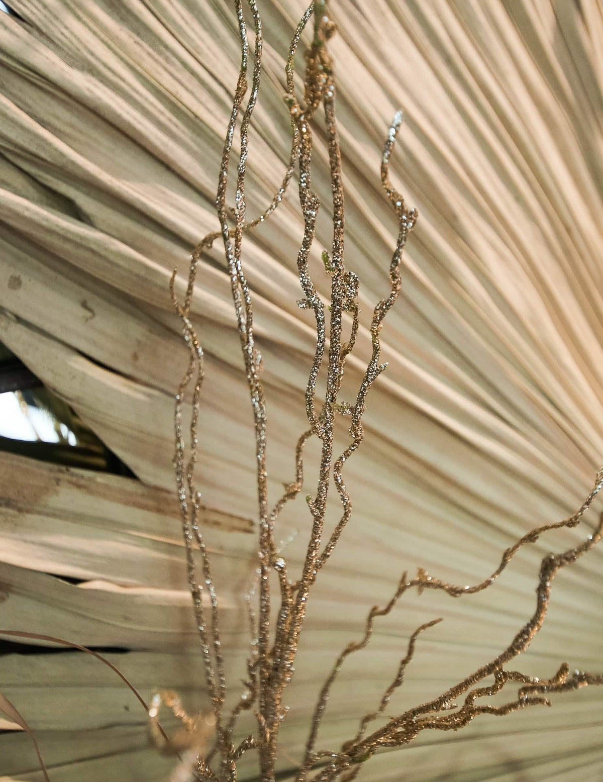 Grande plano sobre os brilhos e lantejoulas do ramo féerico para decoração