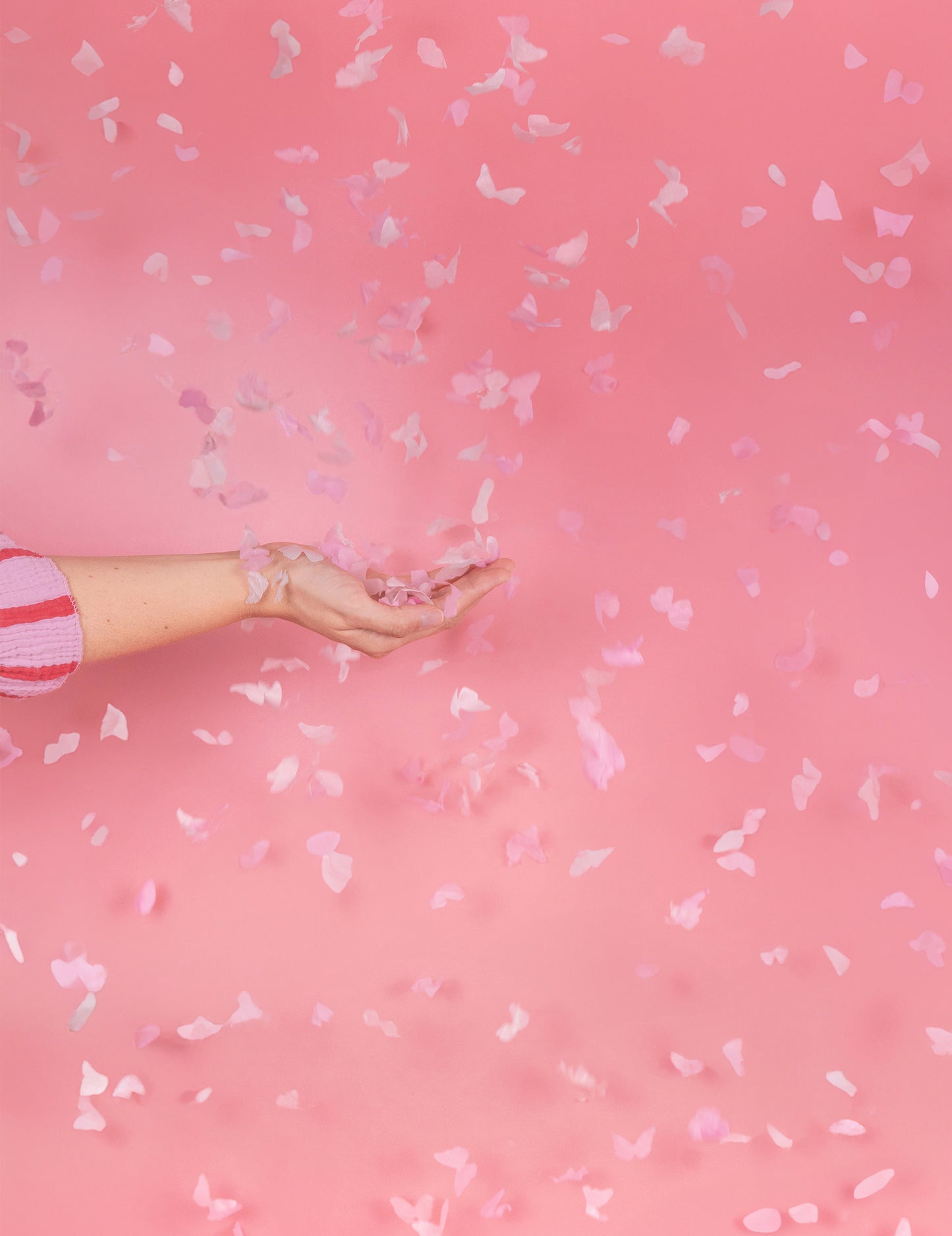 Effet de pluie de confettis du canon à confettis papillons pour gender reveal roses