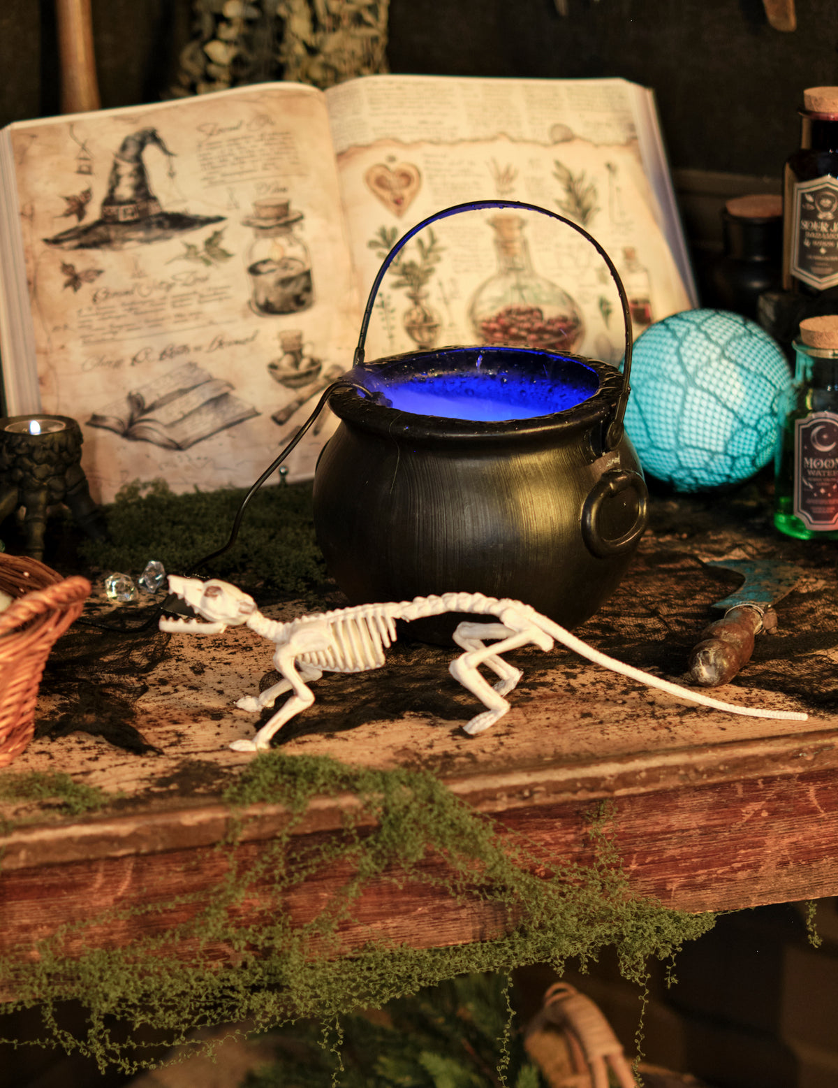 Mise en scène avec grimoire et chaudron de la décoration squelette rat pour Halloween