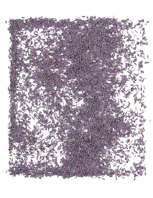 Saco de 1kg de flores de lavanda naturais para casamento