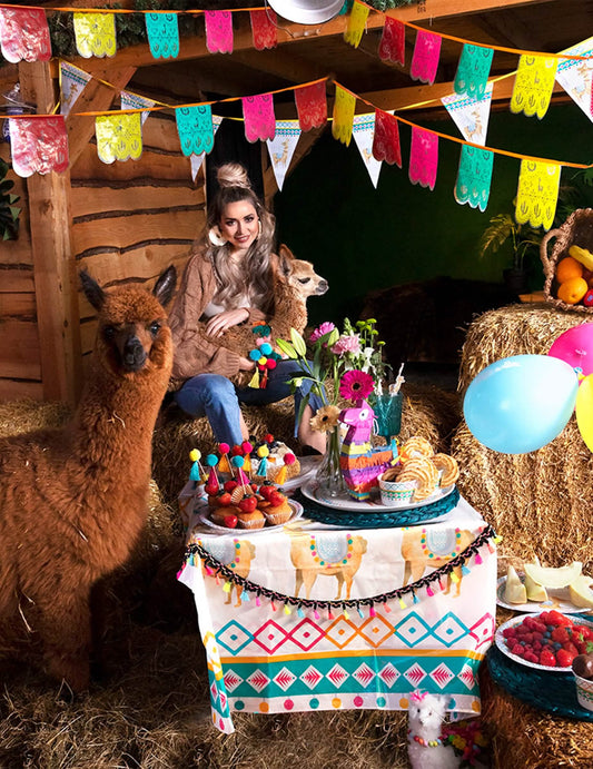 Mise en situation de la guirlande en polyester mexicaine pompons