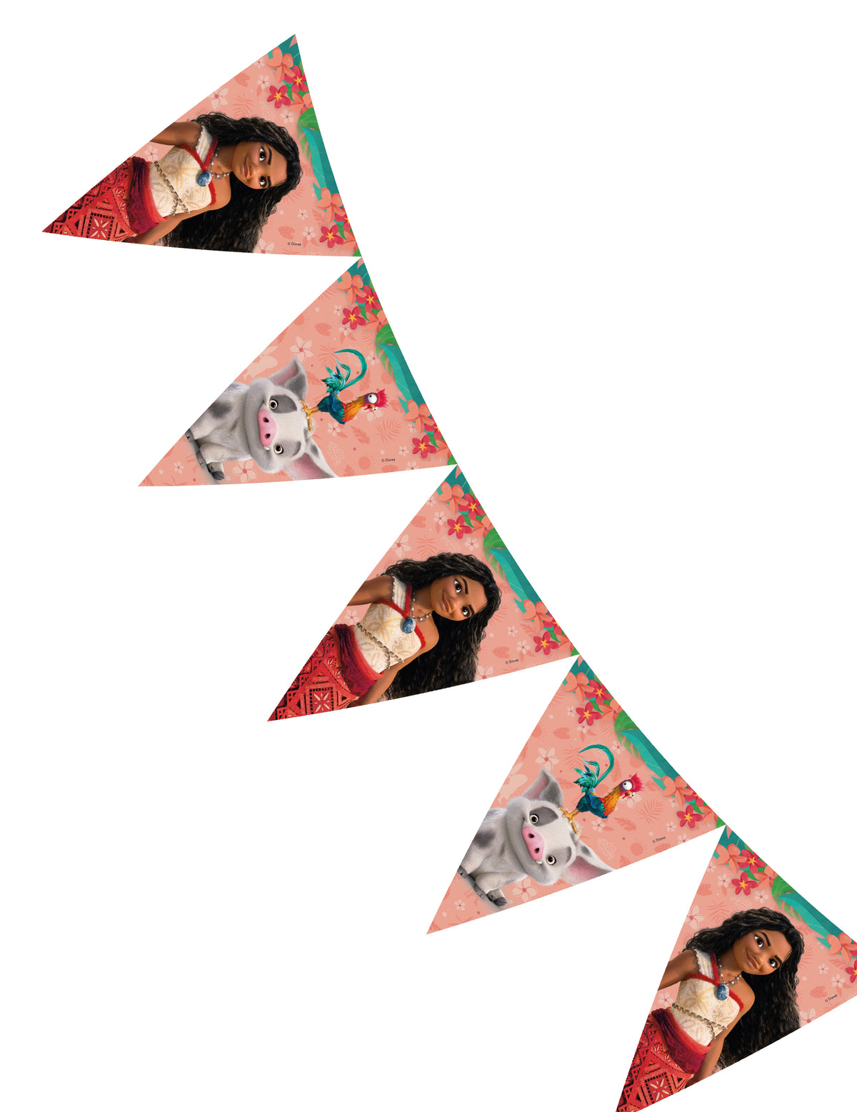 Détail de l'enchaînement des drapeaux de la guirlande fanions Vaiana 2