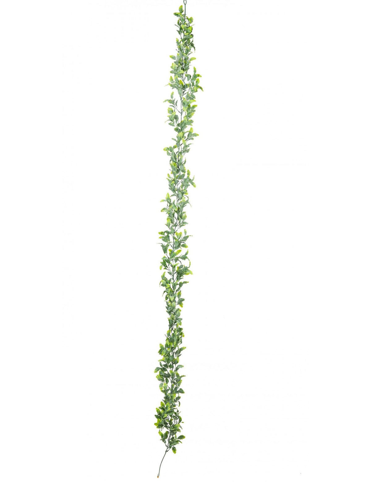 Grinalda de folhas de azevinho para decoração verde aspeto gelado