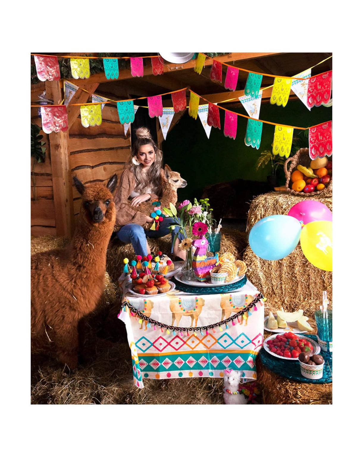 Encenação festiva com alpacas da toalha de plástico lama