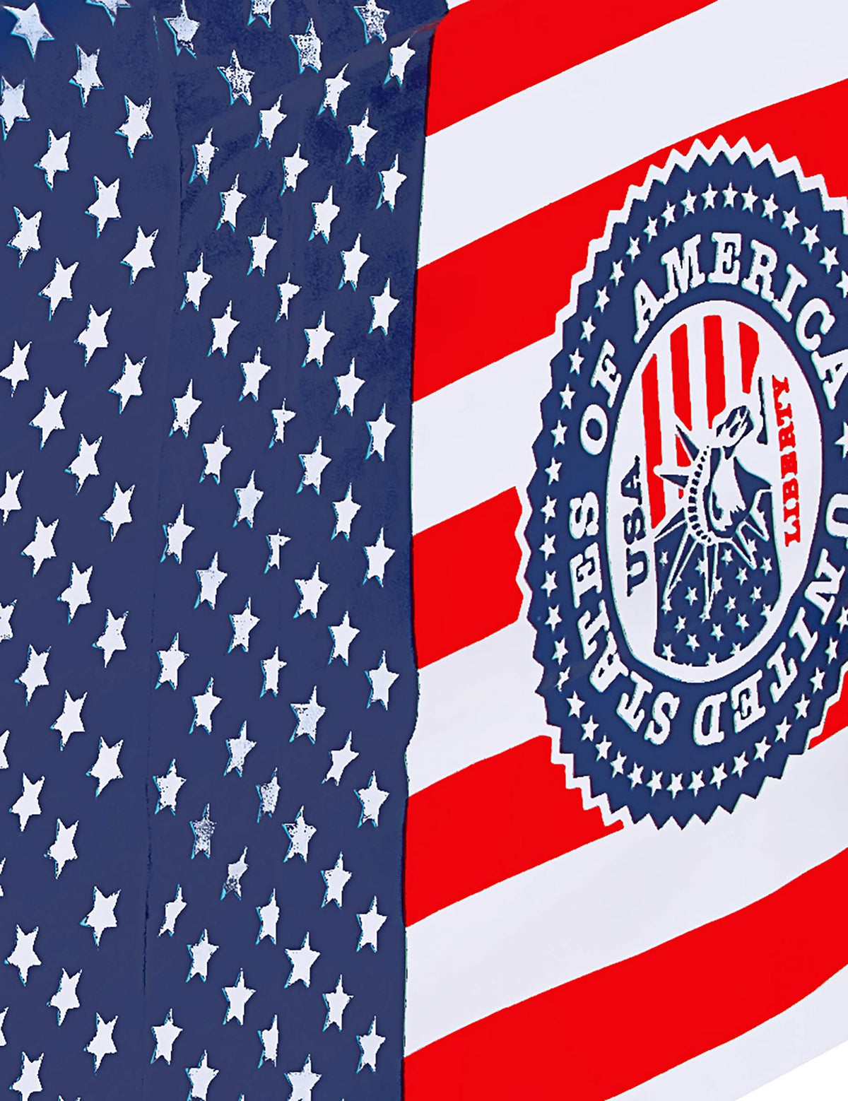 Gros plan sur le logo et les motifs de la nappe USA pour fête