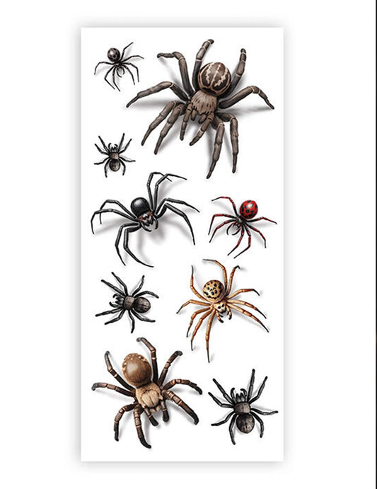 Tatuagens realistas de aranhas para adultos