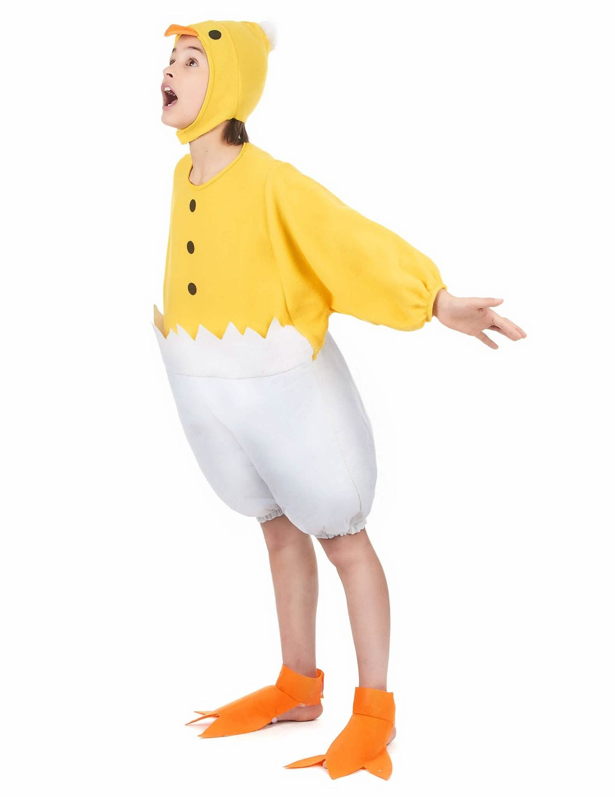 Fato de família galo, galinha e pintainho
