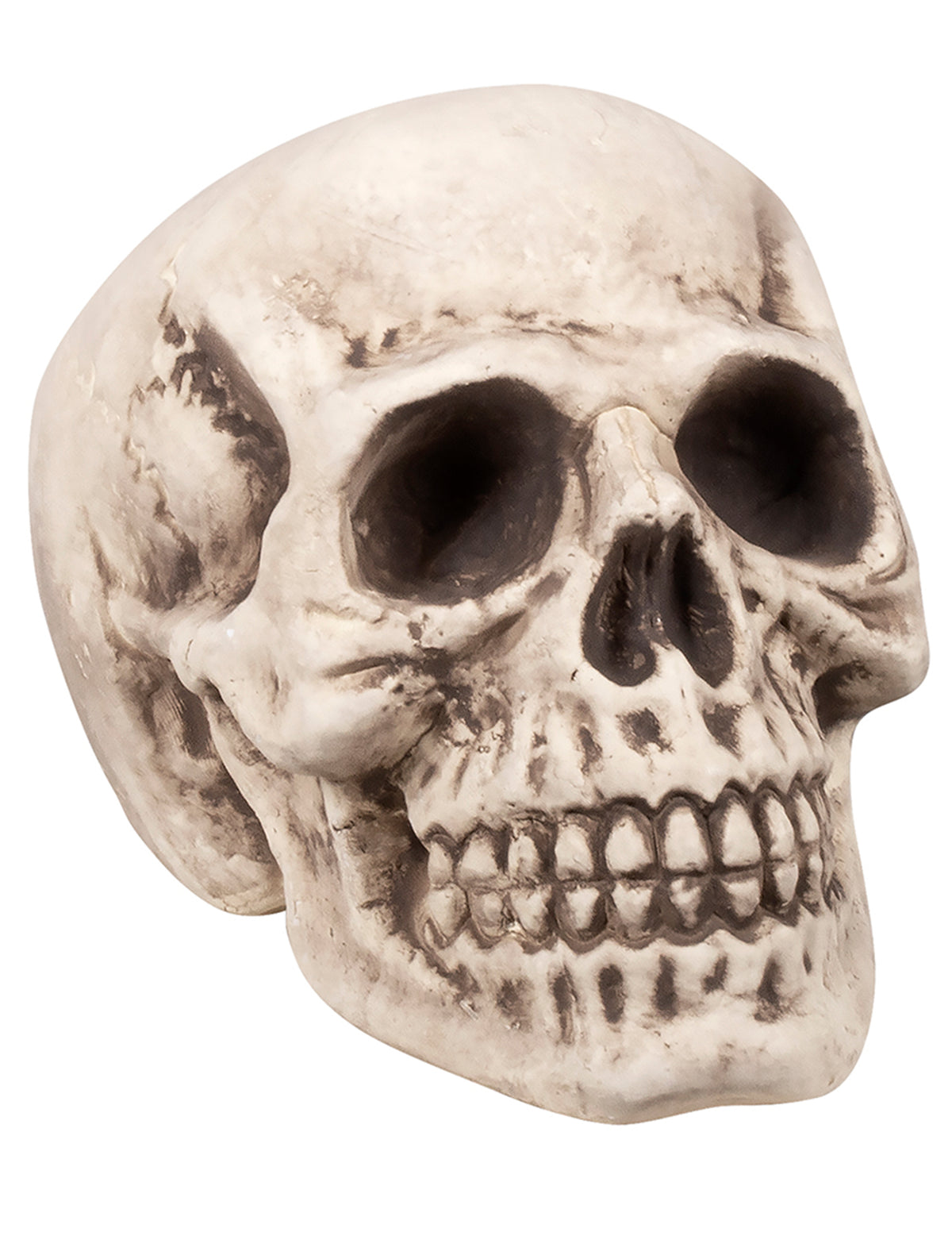Tête de mort d'Halloween pour décoration beige aspect vieilli