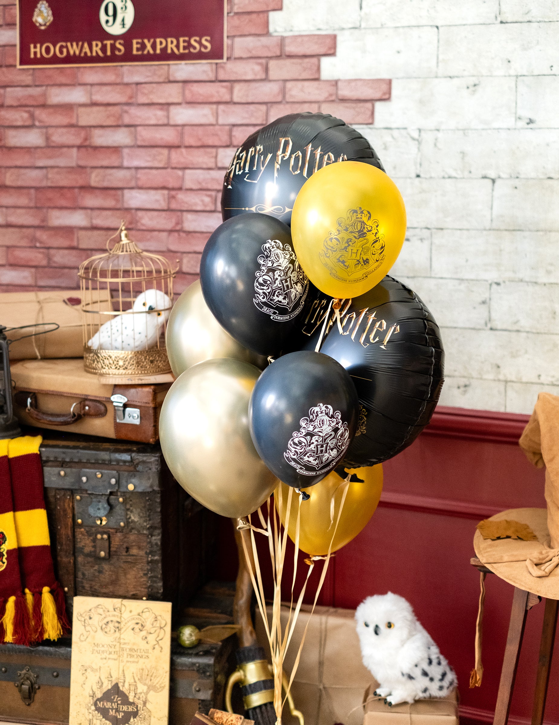 Mise en scène thématique des 10 ballons latex Harry Potter pour fête