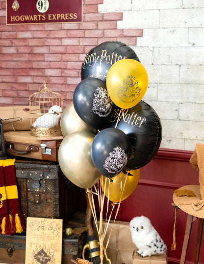 Mise en scène thématique des 10 ballons latex Harry Potter pour fête