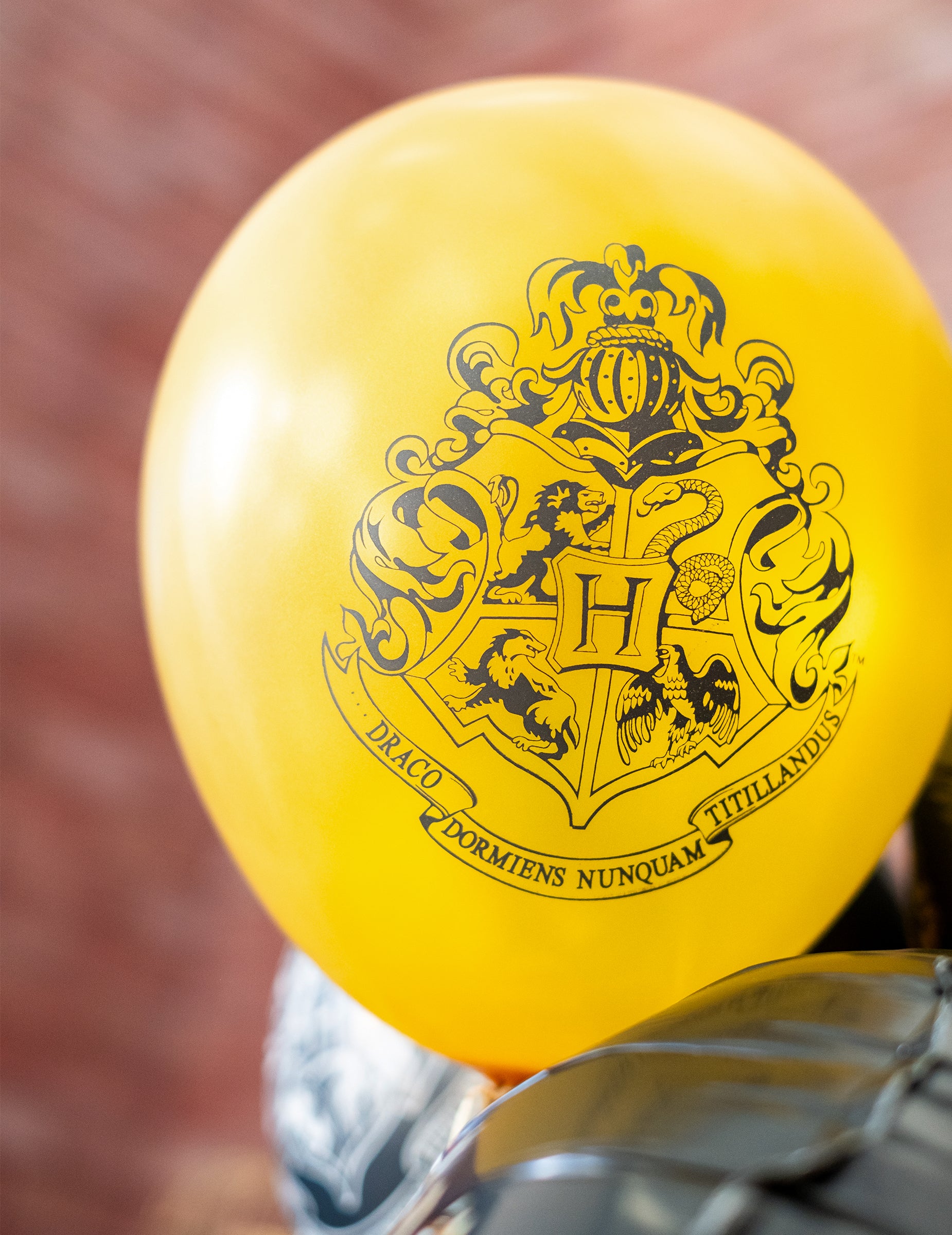 Gros plan sur le ballon jaune avec blason des 10 ballons latex Harry Potter