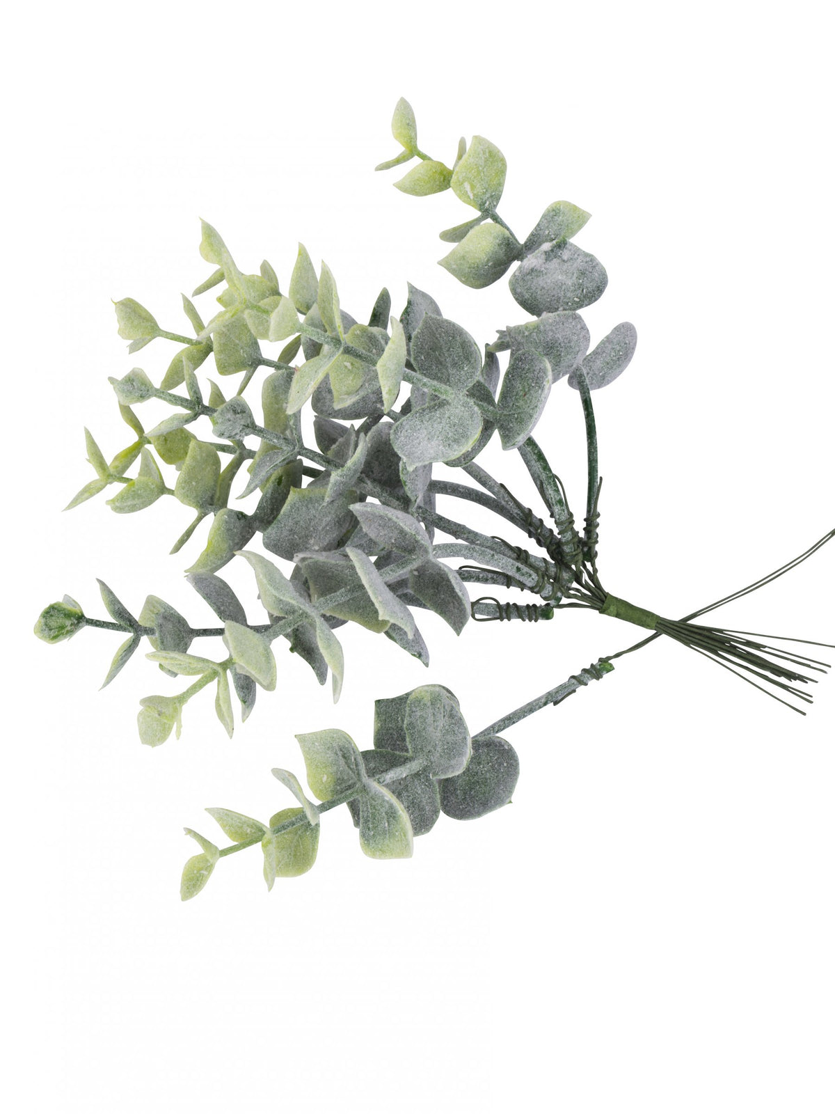 Branches eucalyptus enneigées sur tige pour mariage vertes