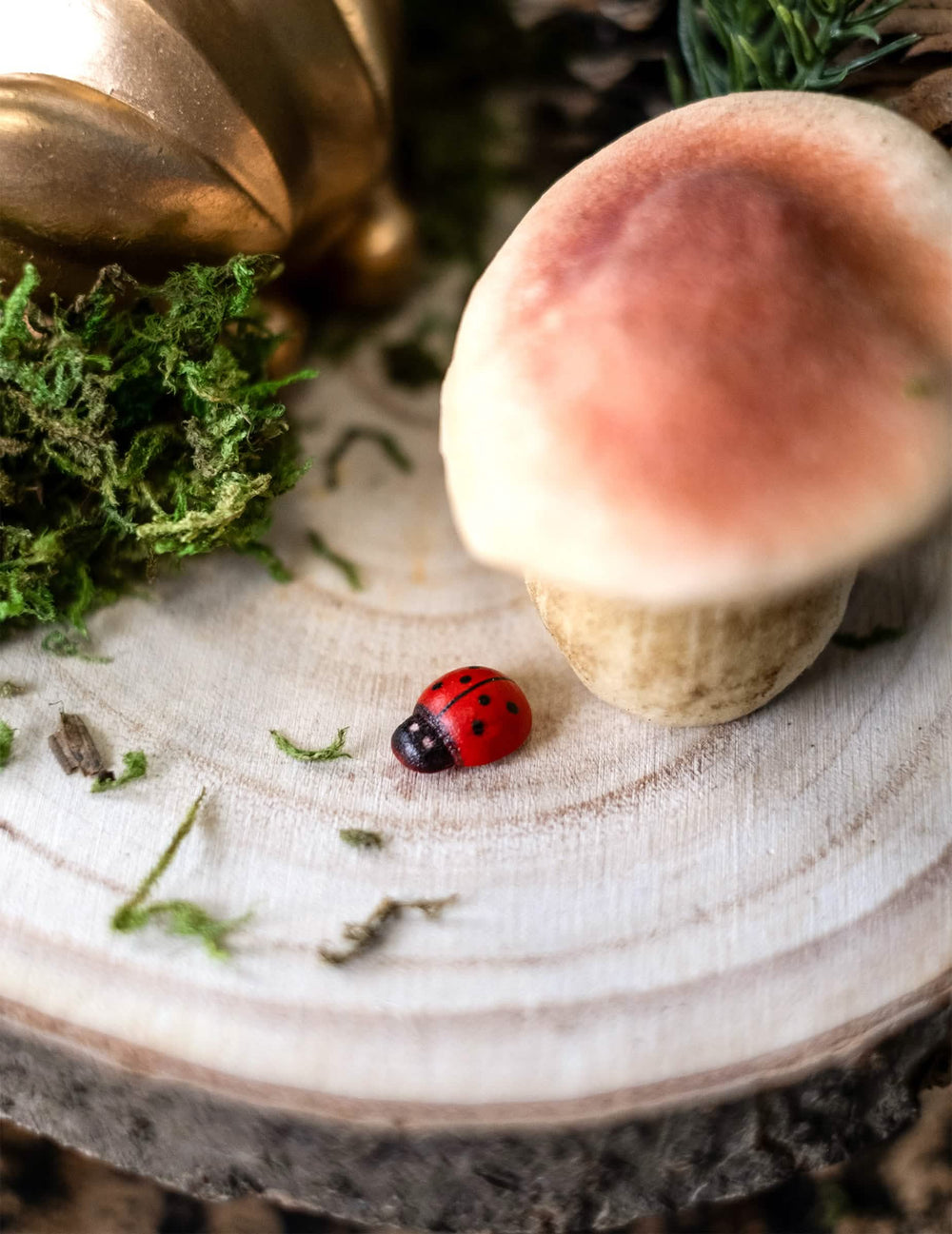 Cenário sobre um toro de madeira com cogumelo de joaninhas de madeira joaninha para decoração