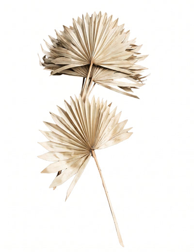 10 folhas de palmeira brancas 55 cm decoração tropical