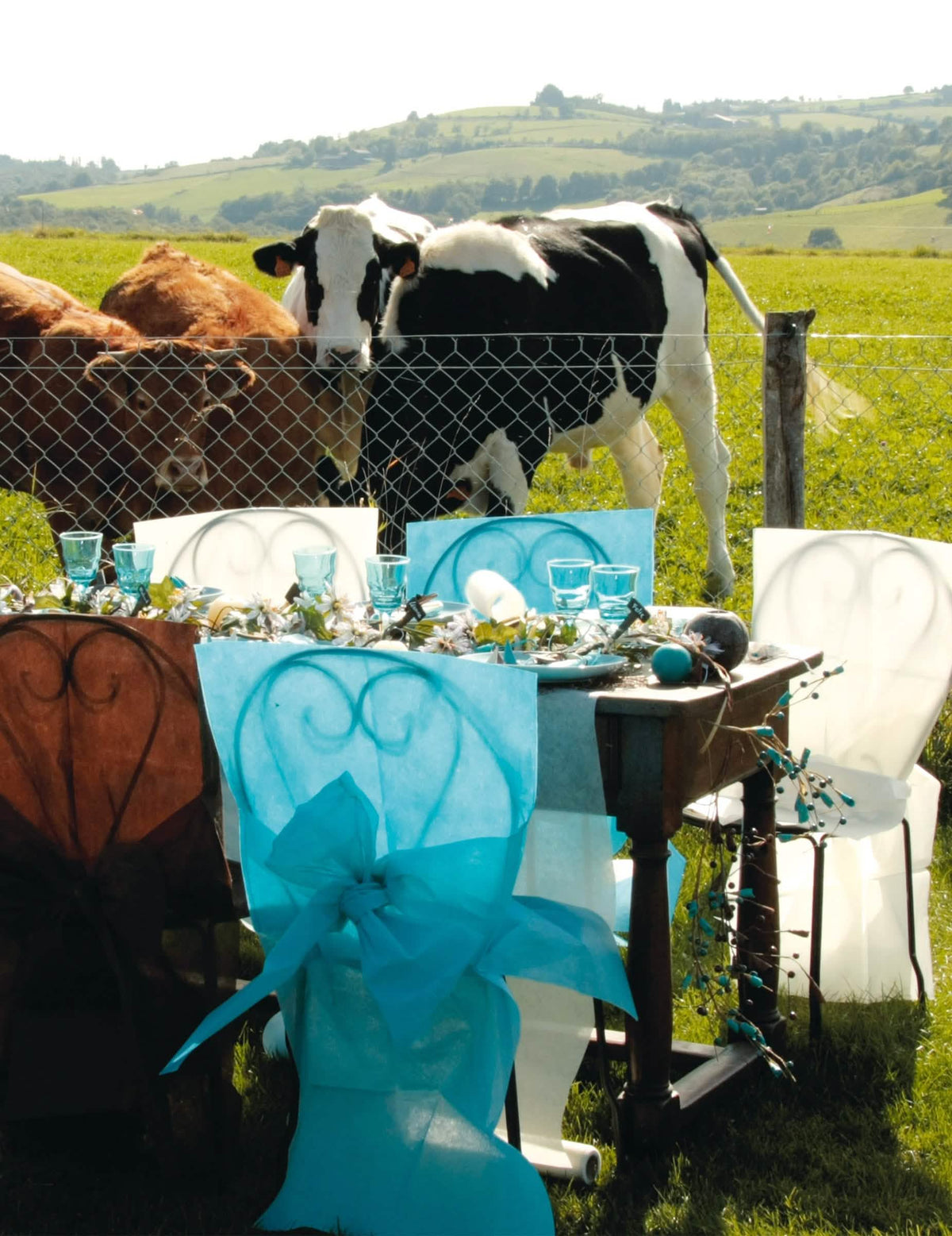 Capa de cadeira premium com laços para decoração de festa branca em não tecido
