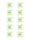 10 pequenas aranhas fosforescentes