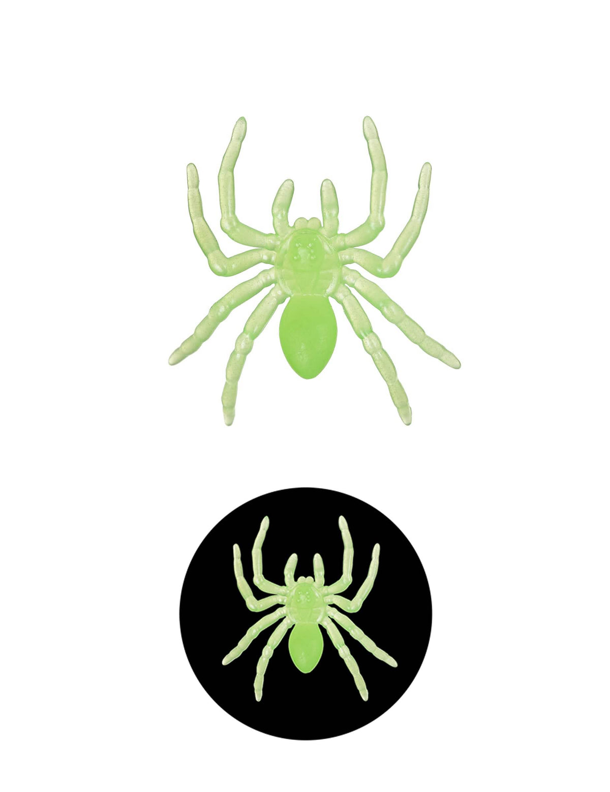 10 pequenas aranhas fosforescentes