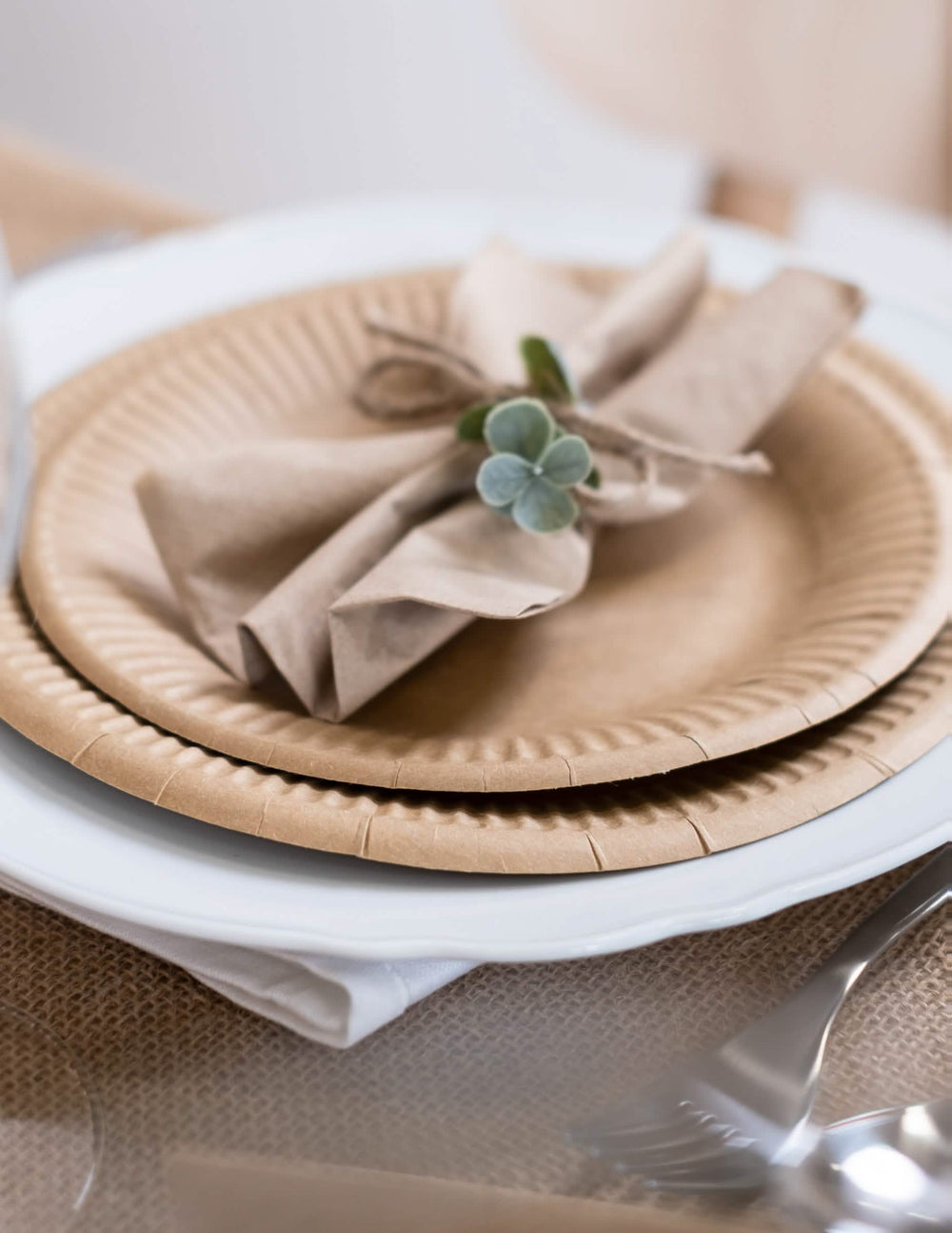 Mise em situação sobre uma mesa de pratos em cartão kraft castanho recicláveis