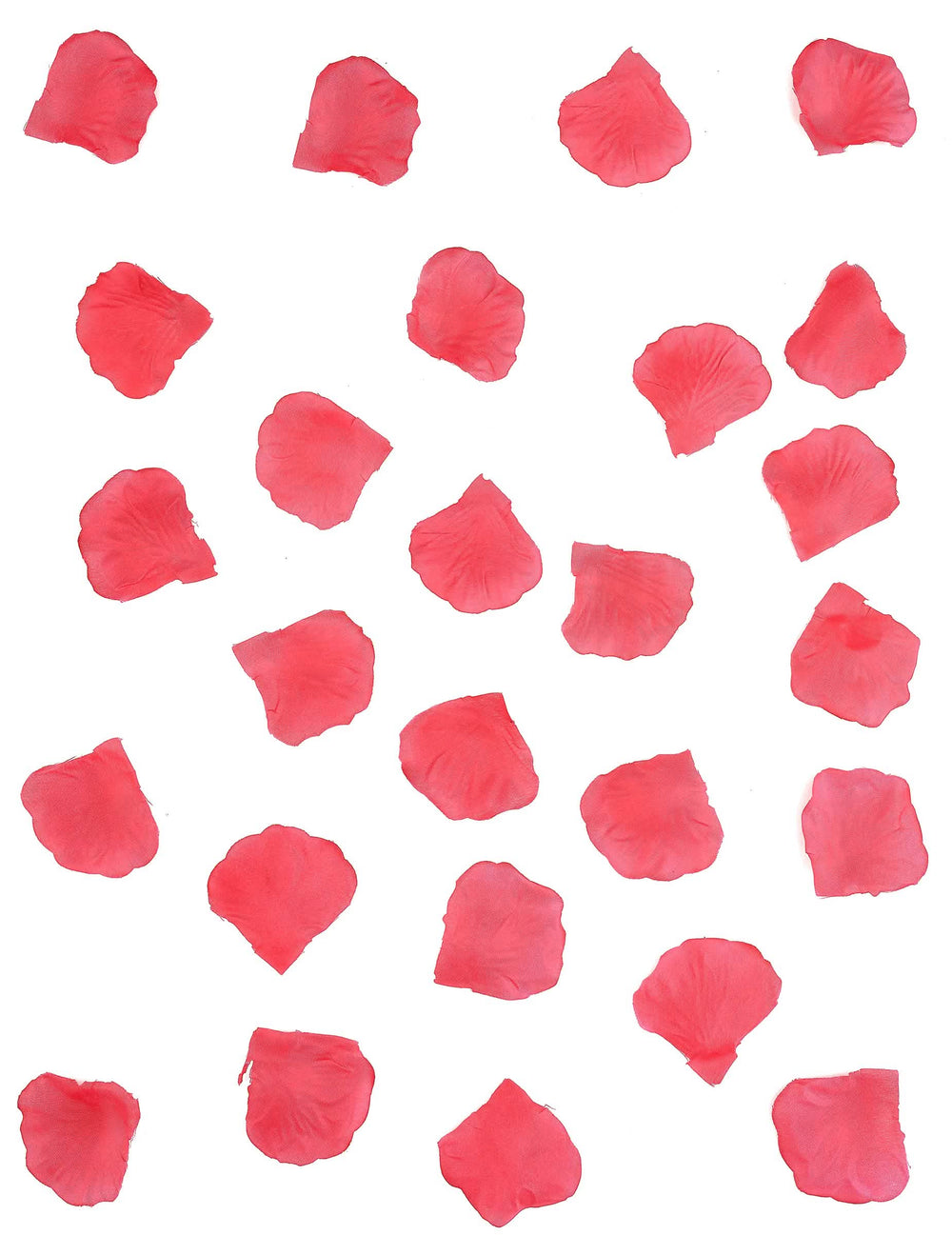 Detalhe da textura dos 100 pétalas de cor de rosa casamento