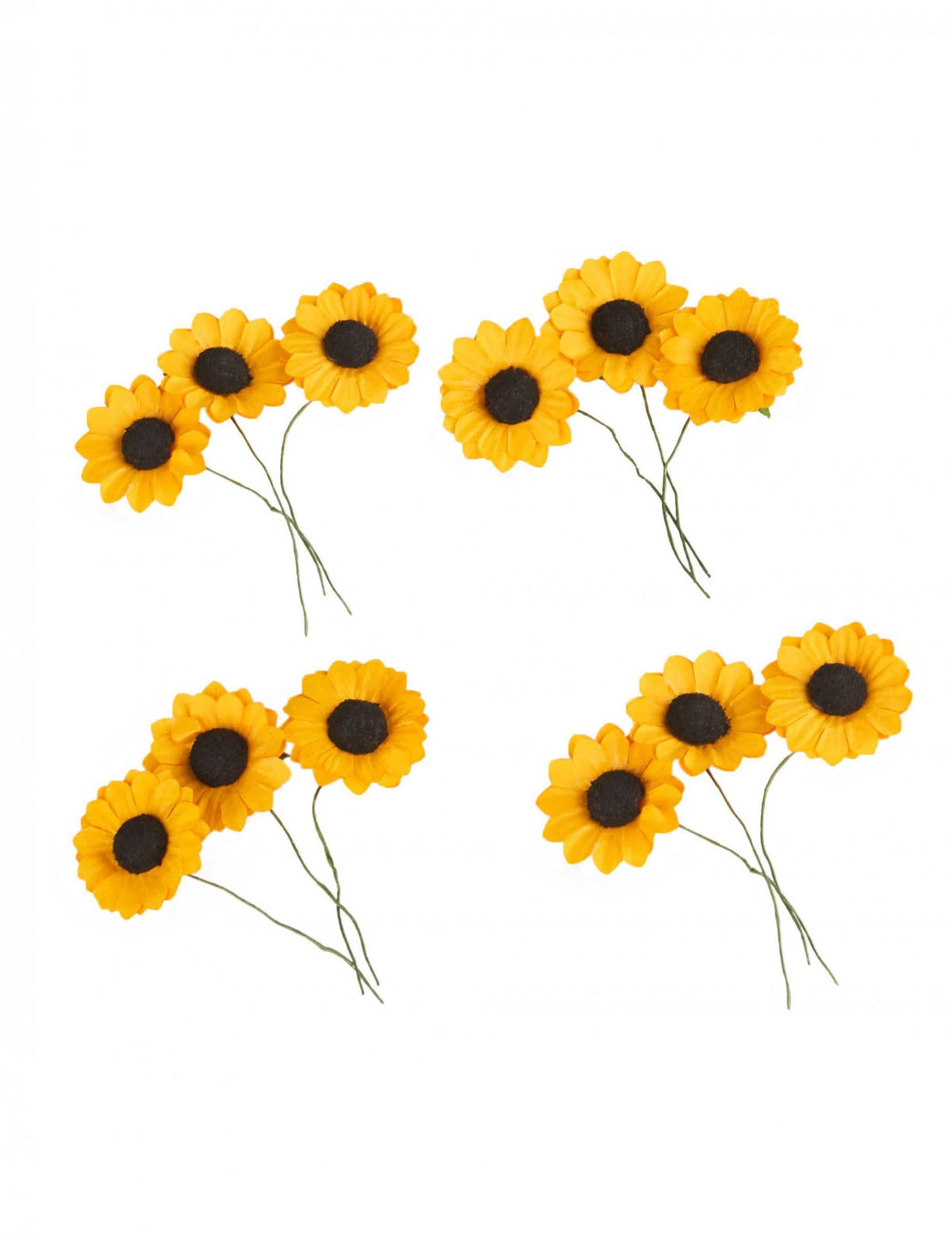 12 flores silvestres tipo girassóis amarelos