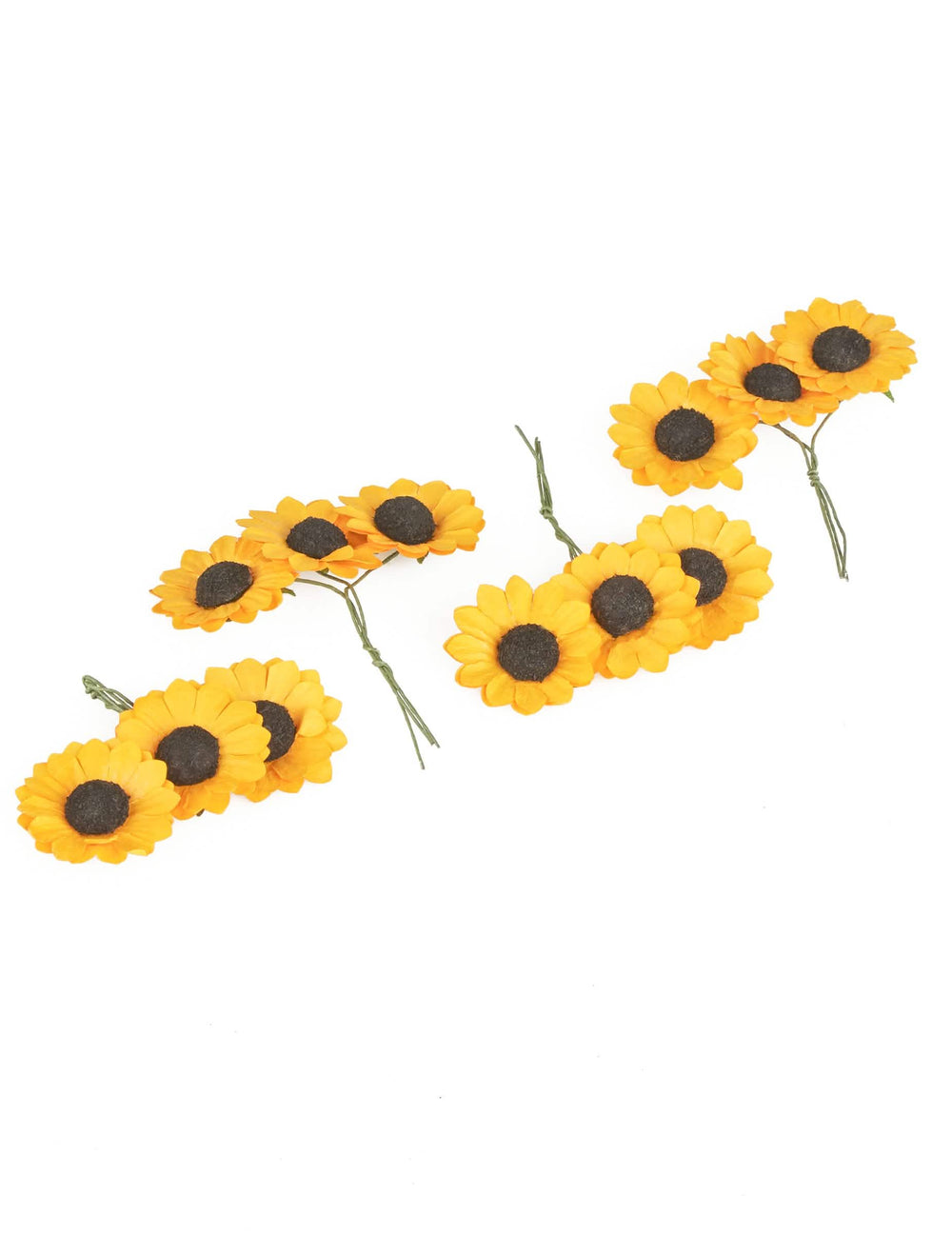 Detalhe dos caules verdes das 12 flores silvestres tipo girassóis