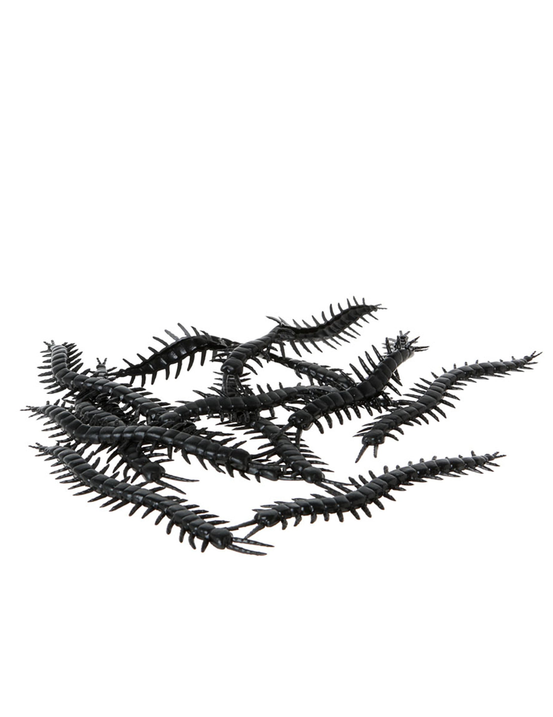 Lot de 12 mille-pattes Halloween pour décoration noirs