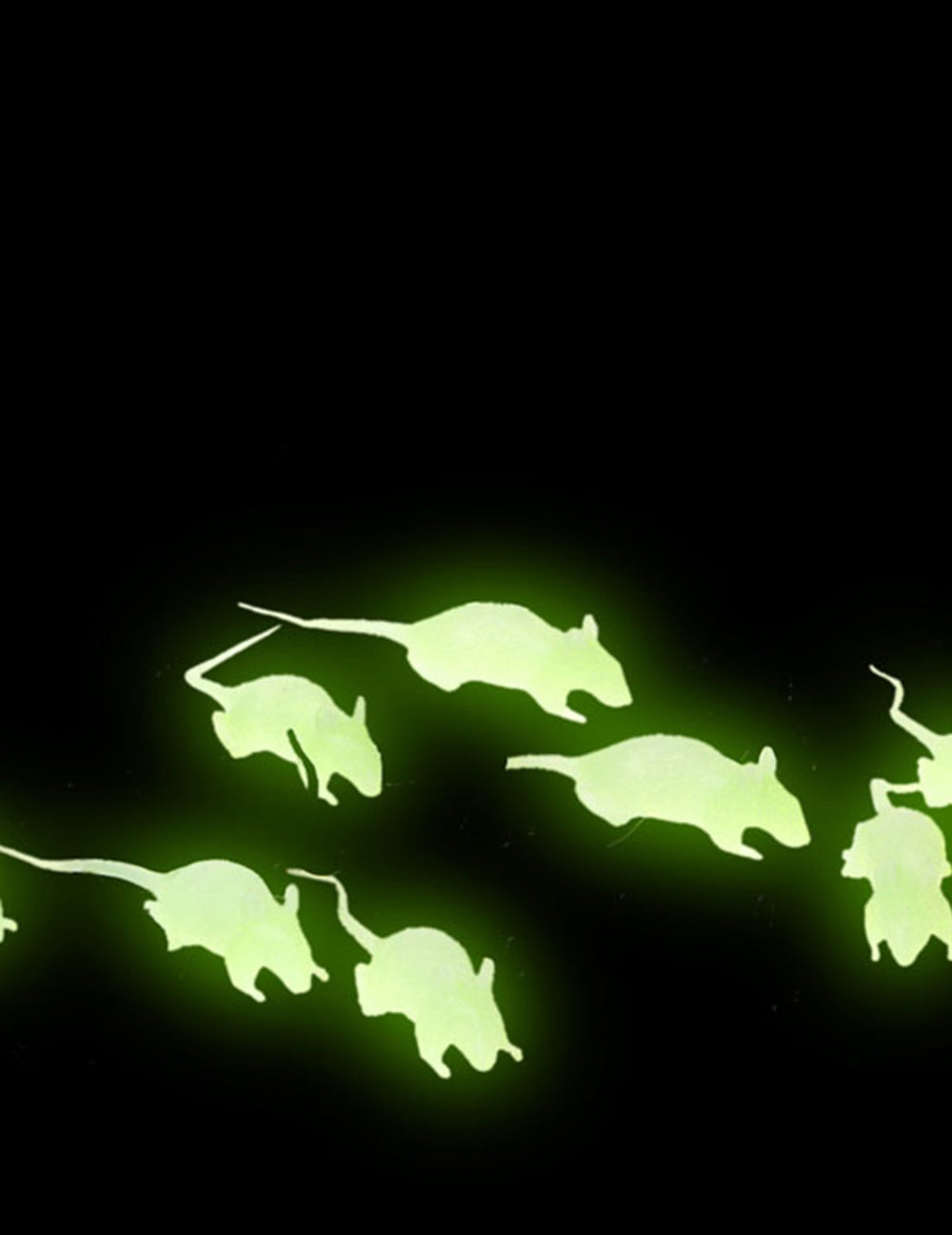 12 Rats Halloween pour décoration noirs et phosphorescents