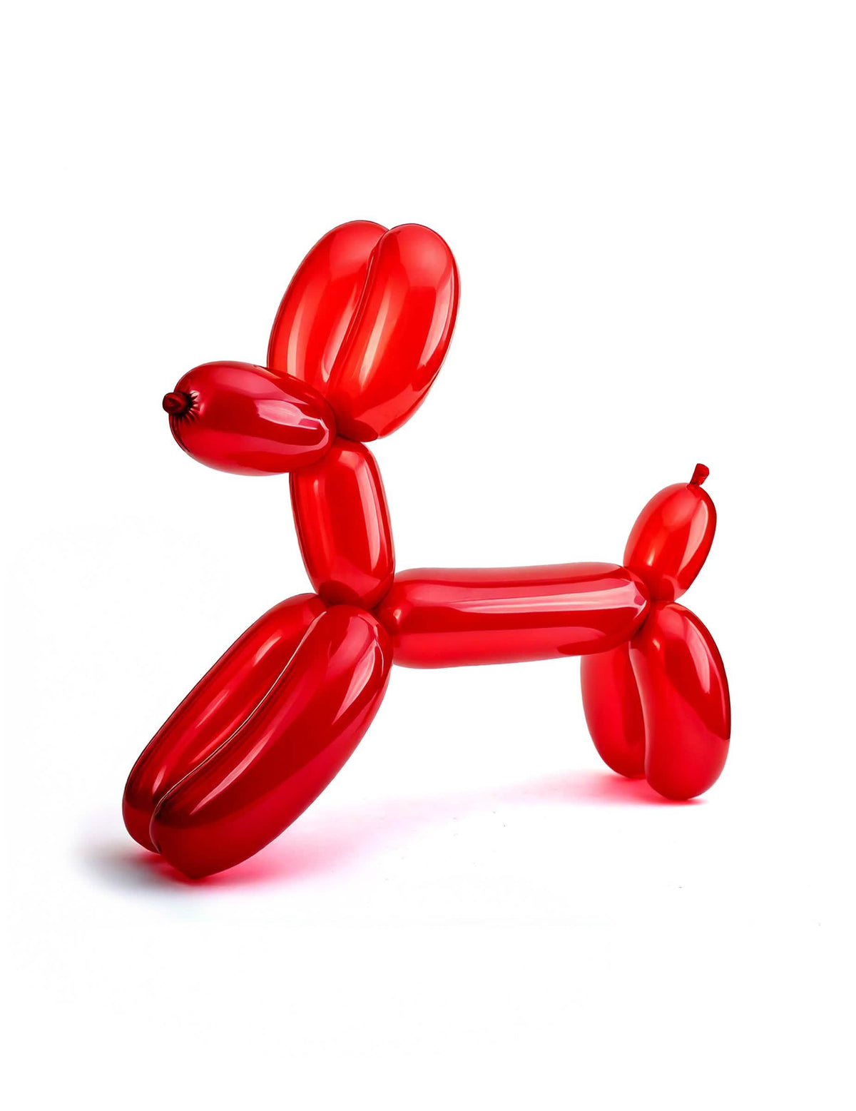 Escultura de cão vermelho de balões para modelar para criança