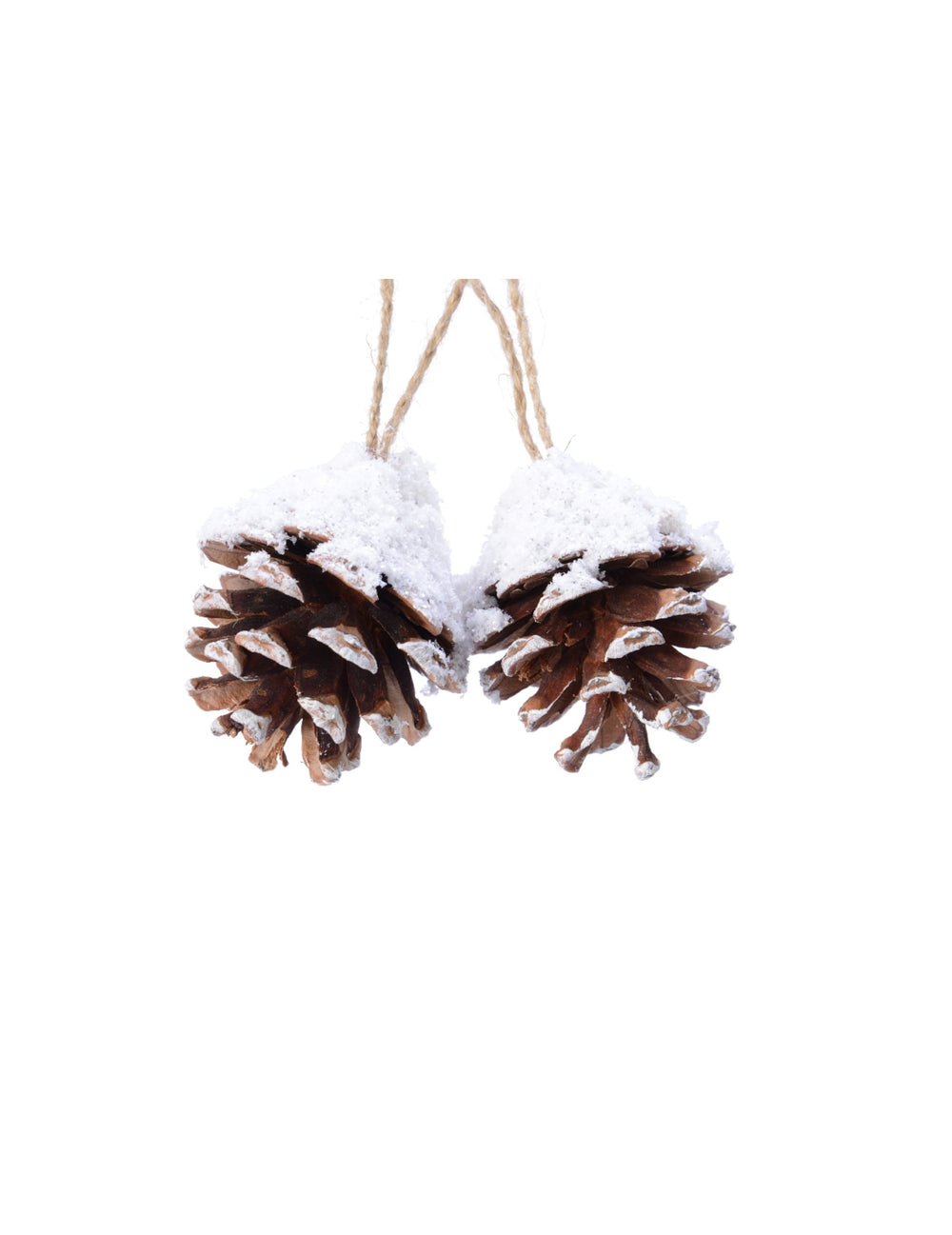 Suspensions pommes de pin pour décoration naturelles marron et blanc enneigées