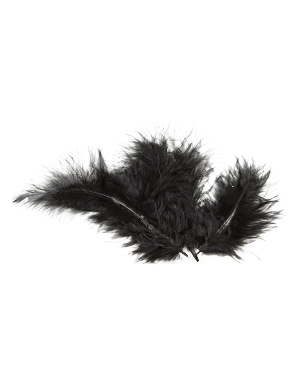 20 plumes de décoration pour table noires