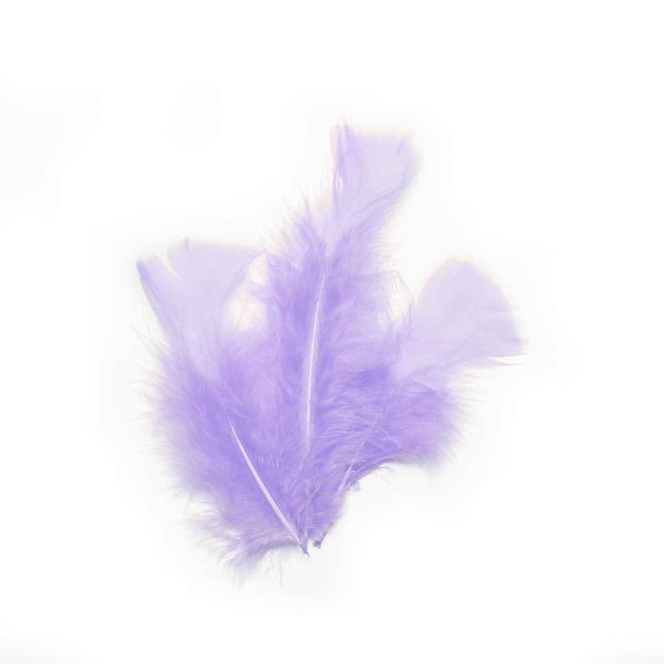 Plumes de décoration parme pour fête lilas pastel