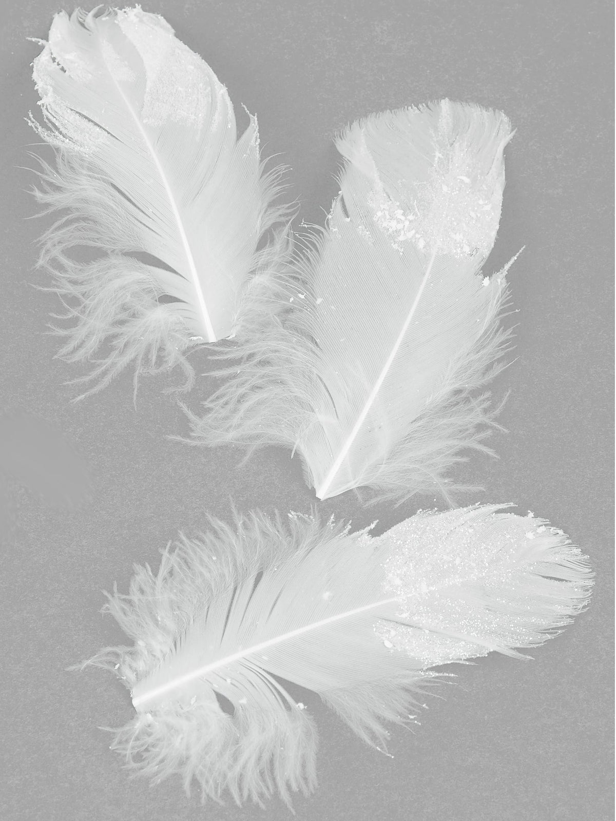Plumes pailletées pour décoration blanches scintillantes