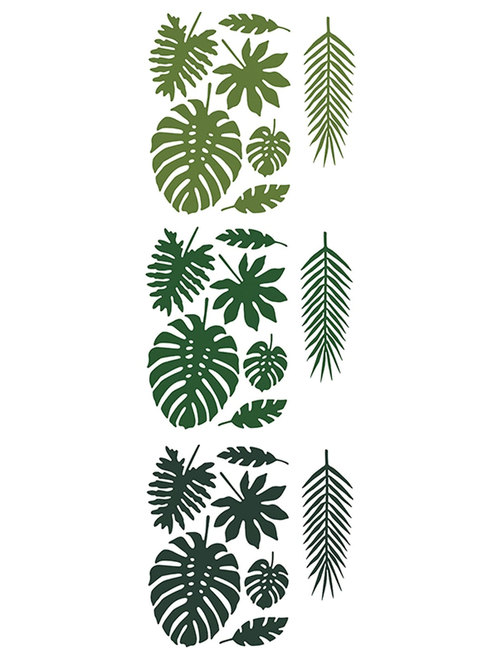 Détail des différentes formes des feuilles tropicales Hawaï pour décoration