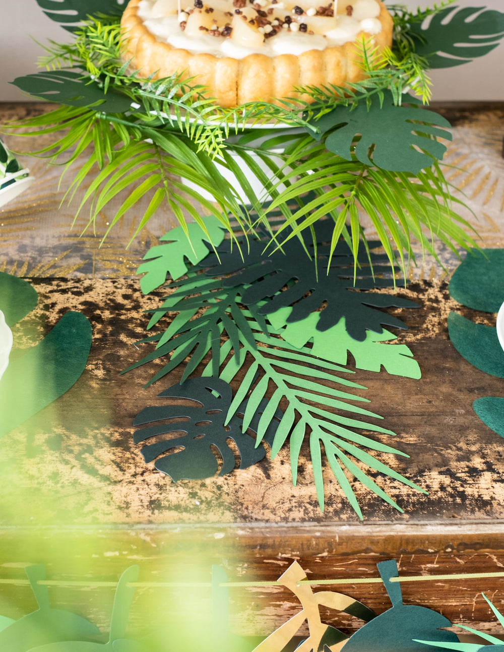 Détail des différentes formes des feuilles tropicales Hawaï pour décoration